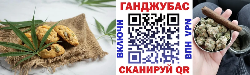 дарнет шоп  Дигора  Canna-Cookies конопля 