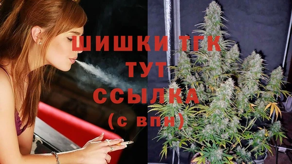 дживик Богородск