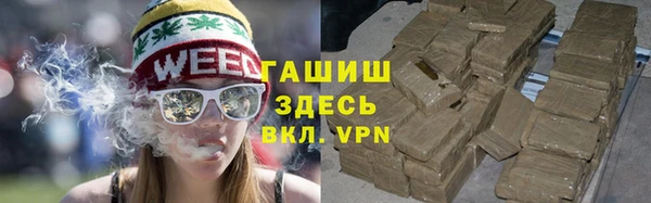спиды Богородицк