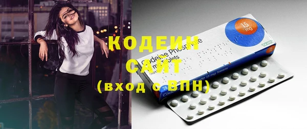 спиды Богородицк
