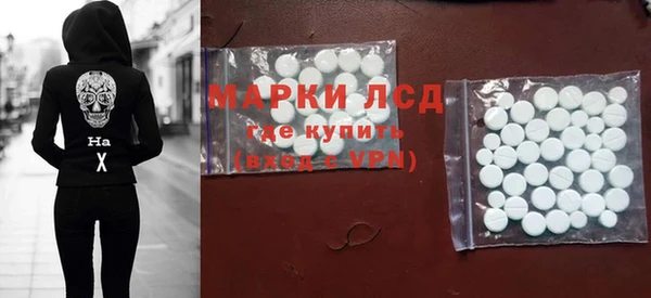 дживик Богородск
