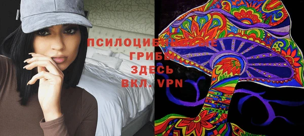 спиды Богородицк