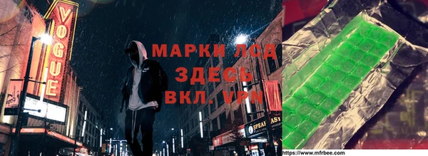 дживик Богородск