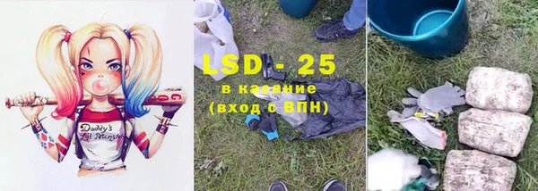 дживик Богородск