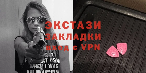 спиды Богородицк