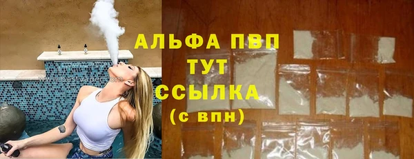 спиды Богородицк