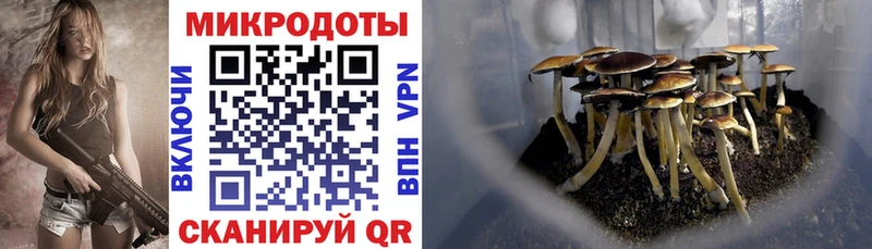 Псилоцибиновые грибы Psilocybine cubensis  Дигора 